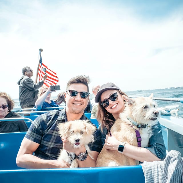 Chicago: Canine Cruise - Photo 1 of 9